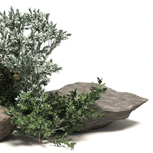 现代景观石头植物