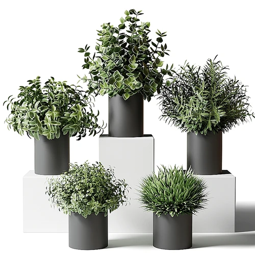 现代绿植盆栽