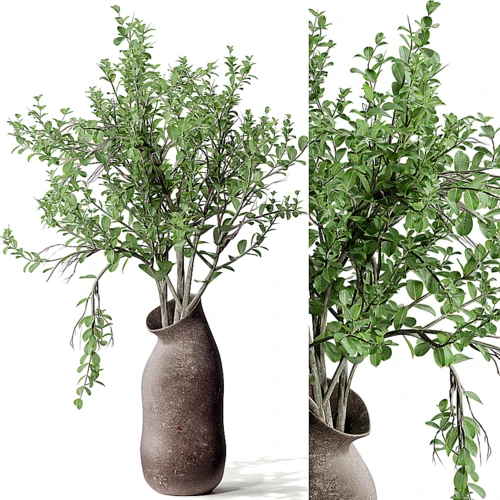 现代植物花瓶花艺