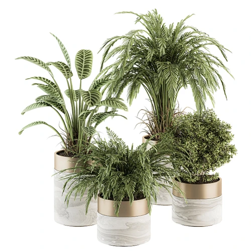 现代绿植盆栽