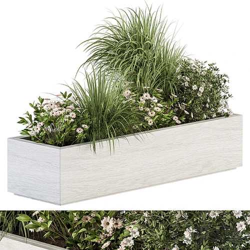 现代户外植物