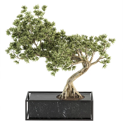 现代绿植盆栽