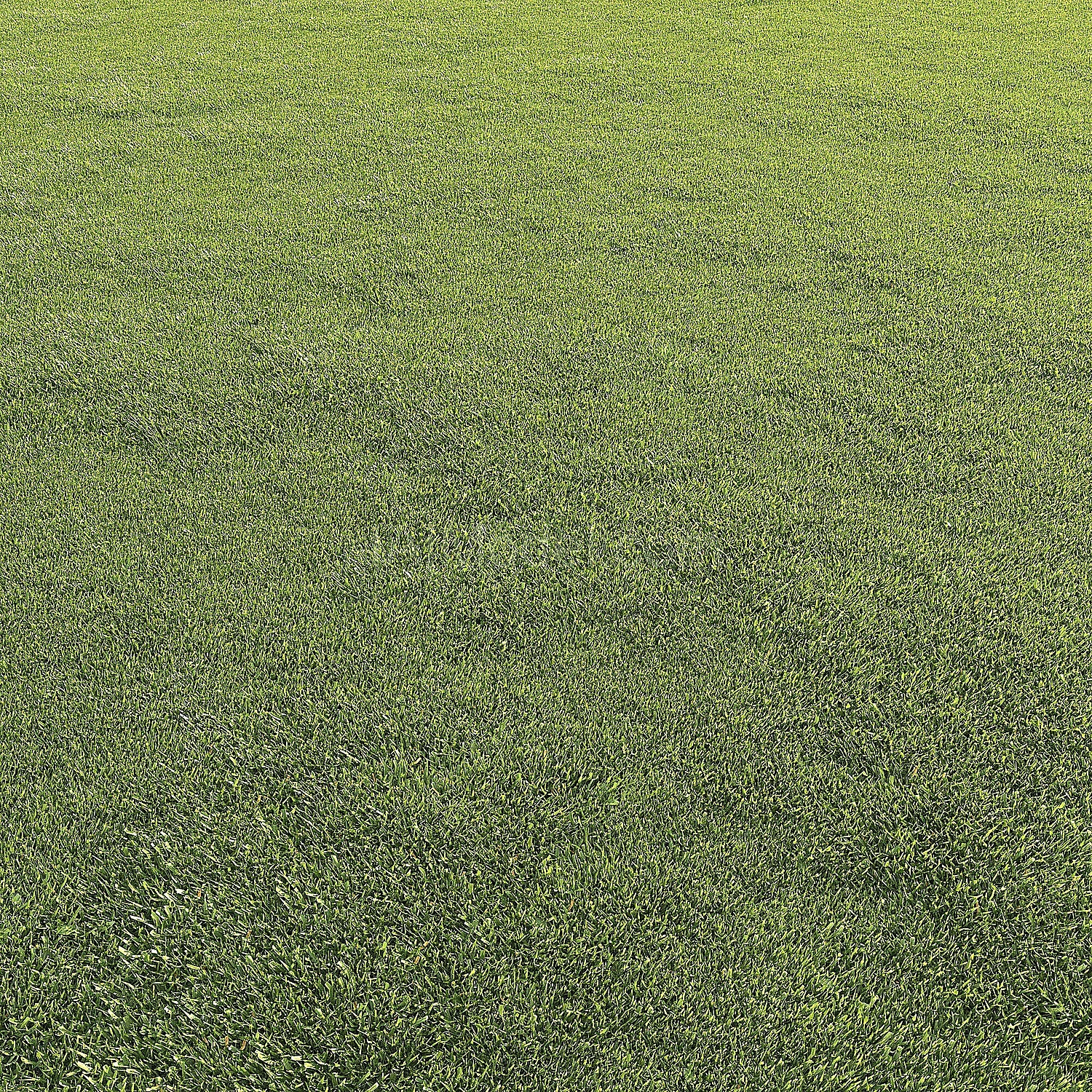 img2