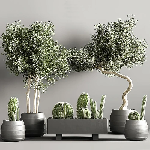 现代仙人球植物绿植盆栽