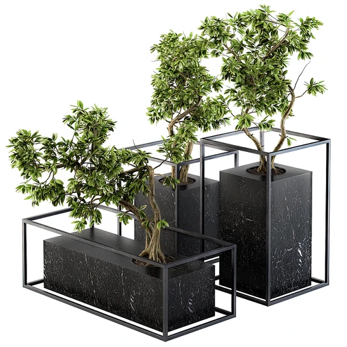 现代绿植盆栽