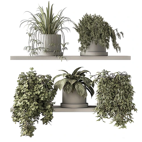 现代绿植盆栽