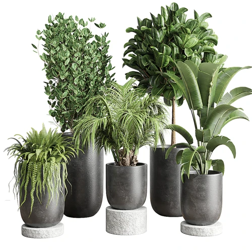 现代绿植盆栽