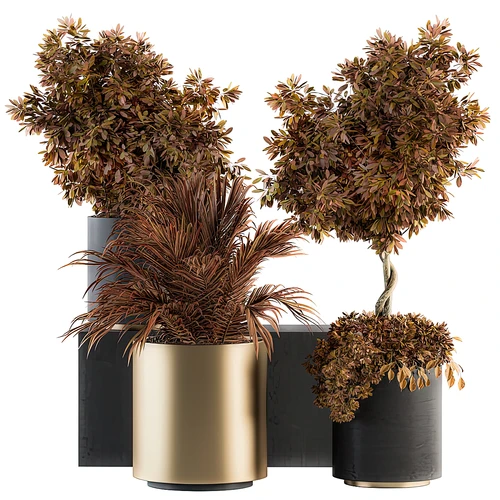 现代绿植盆栽