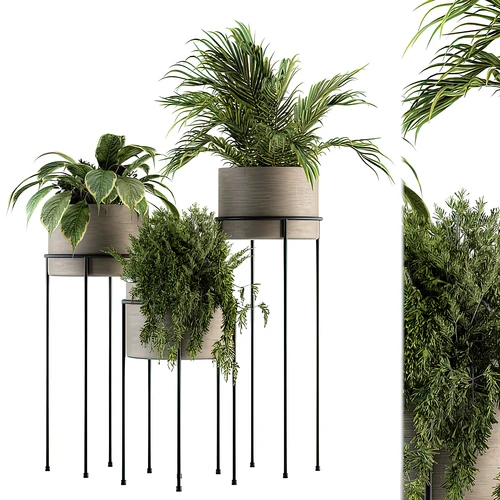 现代绿植盆栽