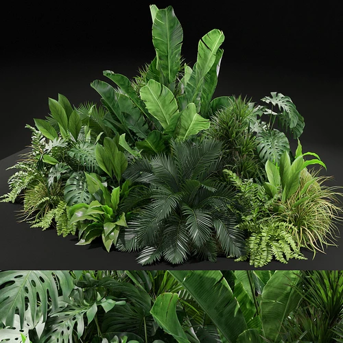 现代绿植盆栽