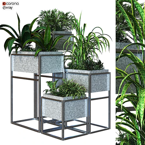 现代绿植盆栽