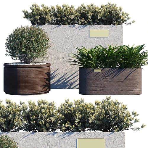 现代绿植盆栽