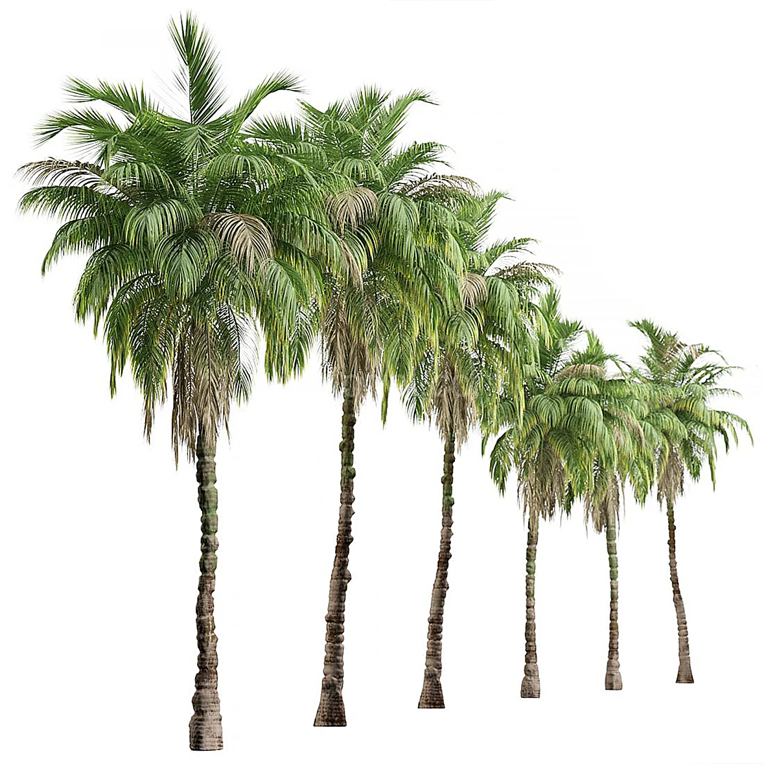 img2