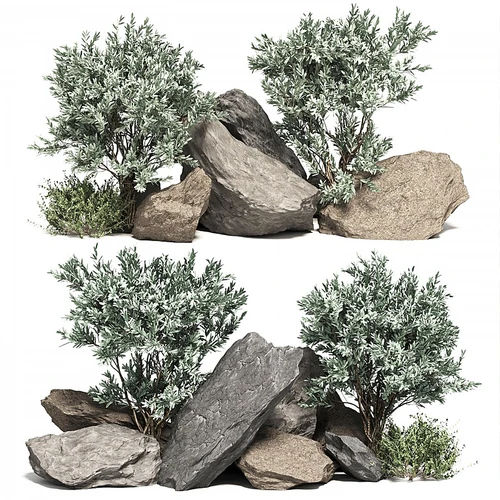 现代石头植物
