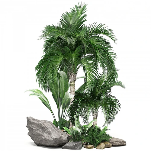 现代石头植物