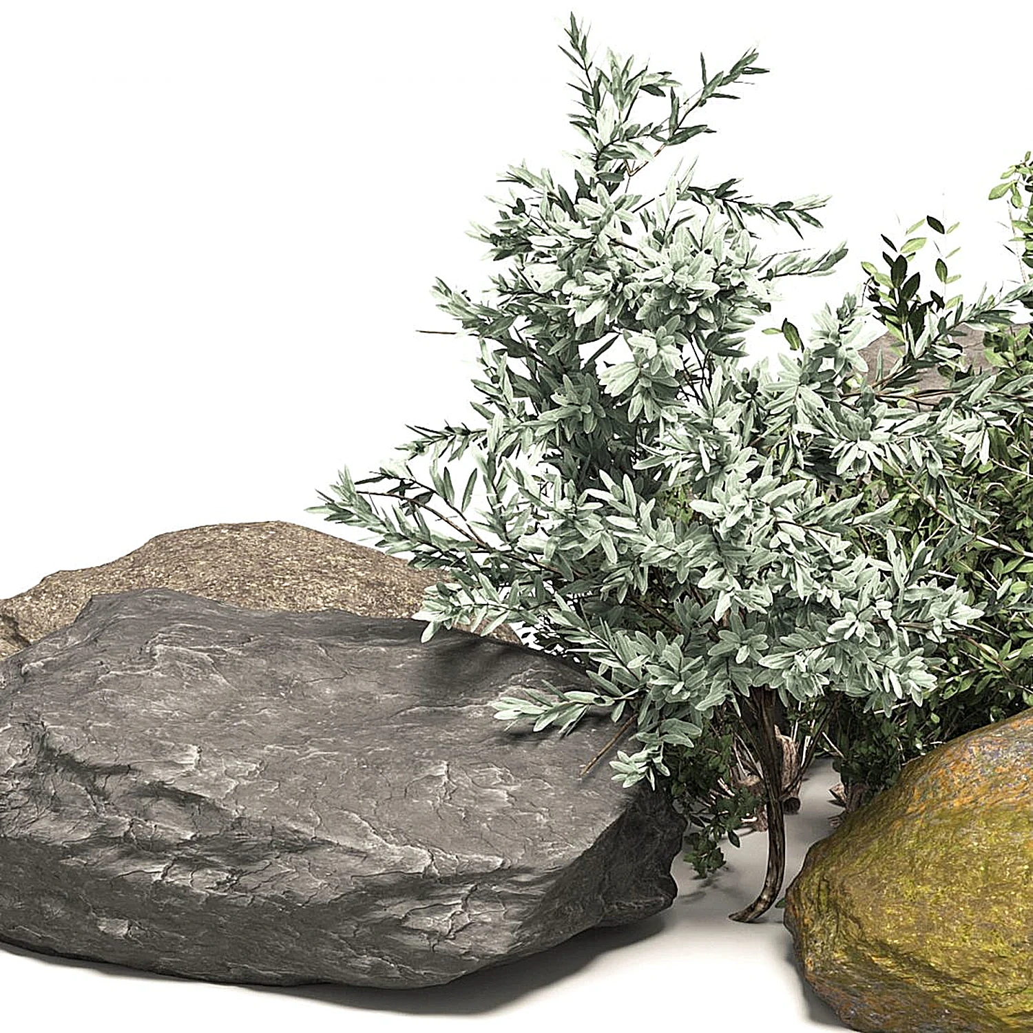 img5