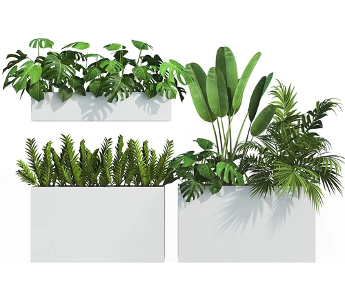 现代植物池盆栽