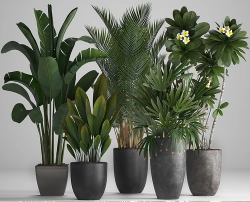 现代植物组合