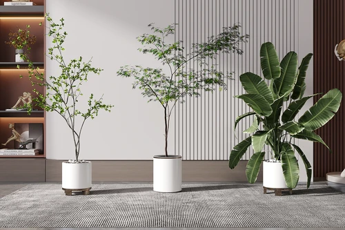 现代绿植盆栽
