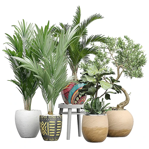 现代绿植盆栽