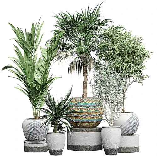 现代绿植盆栽