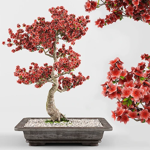 新中式花卉植物盆栽盆景