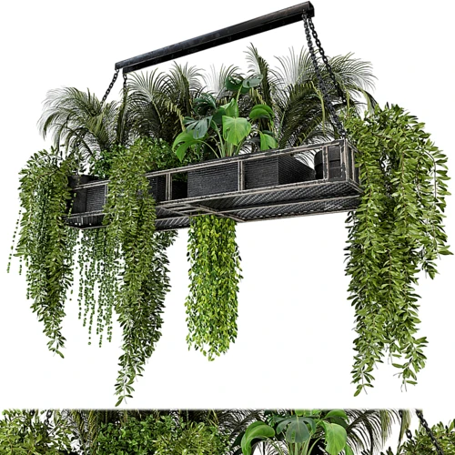 现代绿植吊篮