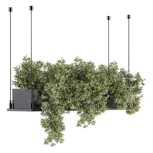 现代绿植吊篮