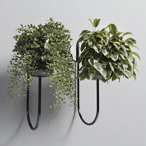 现代绿植吊篮