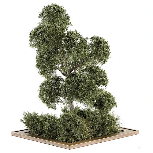 现代绿植花坛