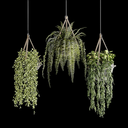 现代绿植吊篮