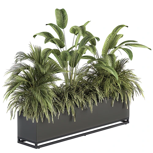 现代植物盆栽