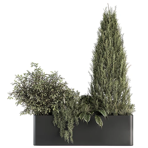 现代绿植盆栽花坛