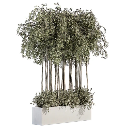 现代绿植花坛