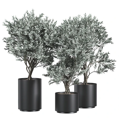 现代绿植盆栽
