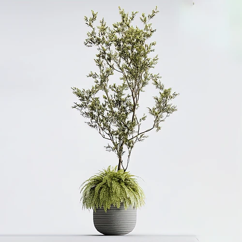 现代绿植盆栽