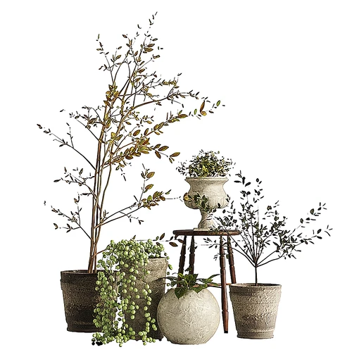 现代绿植盆栽
