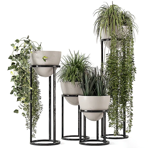 现代绿萝植物盆栽