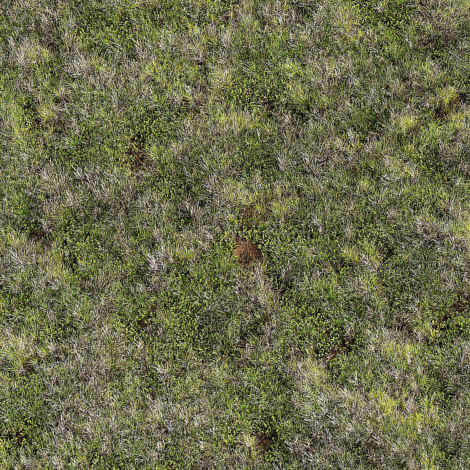 img2
