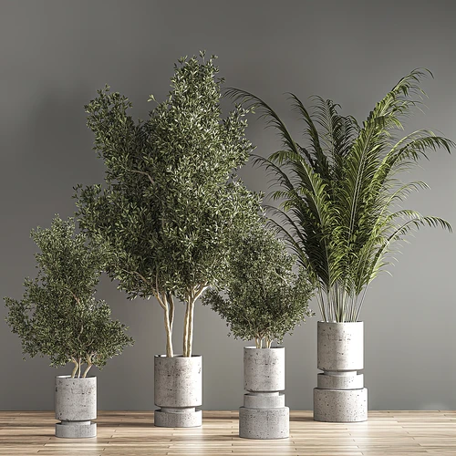 现代植物盆栽