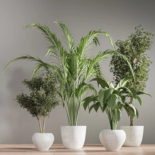 现代植物盆栽