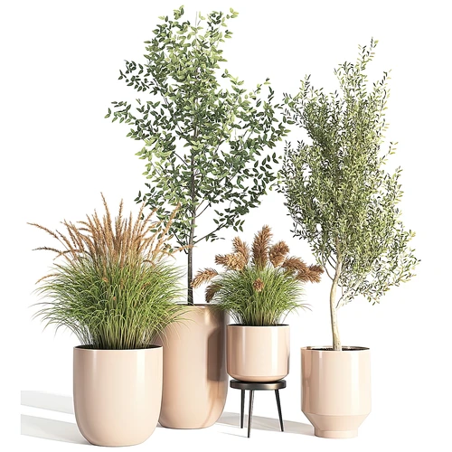 现代植物盆栽