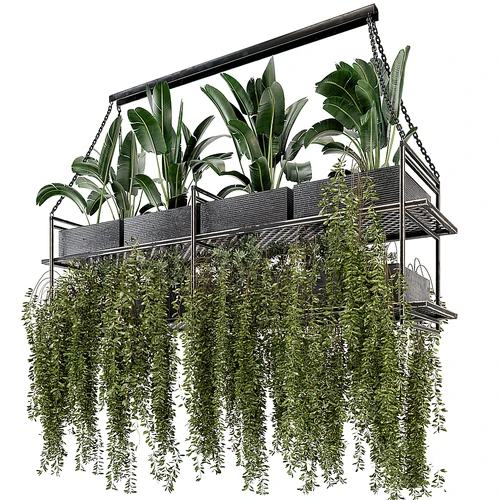 现代绿植盆栽吊篮