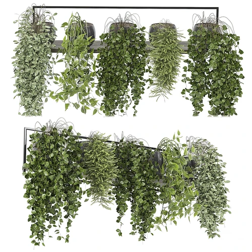 现代绿植盆栽吊篮