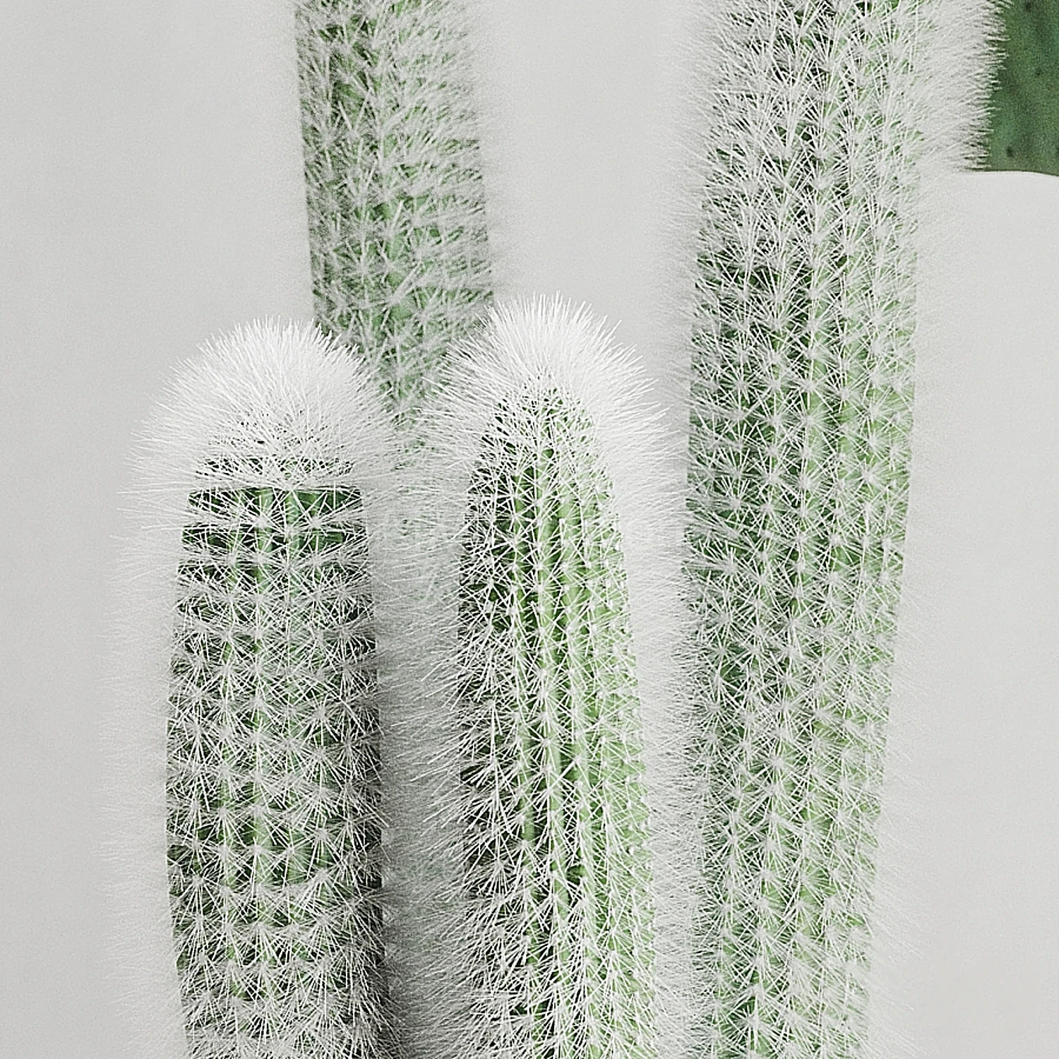 img2