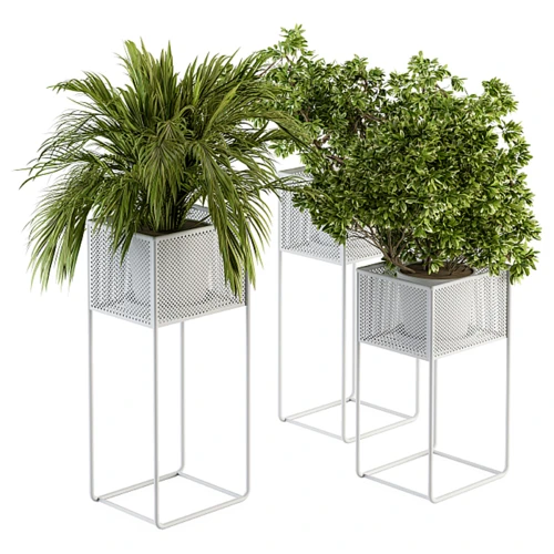 现代绿植盆栽