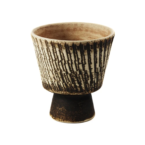 茶杯