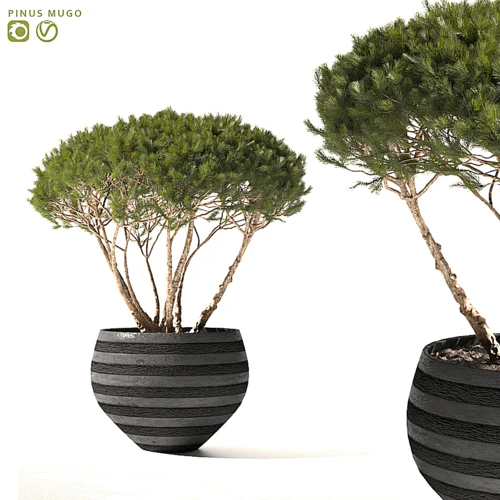 现代绿植摆件