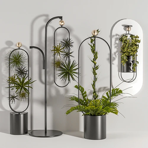 现代植物盆栽