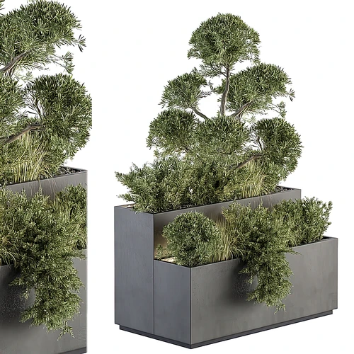 现代绿植花箱盆栽